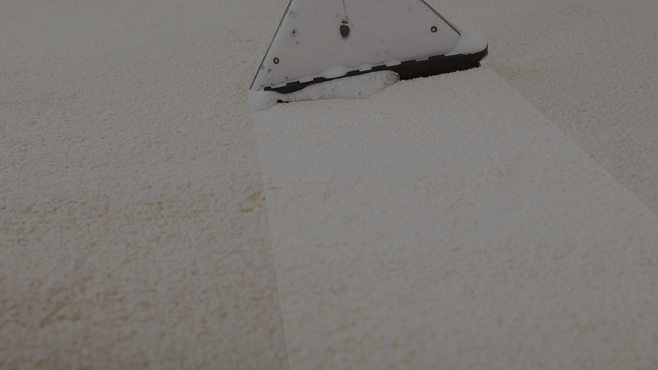 carpet-cleaning-windsor-ontario-steam