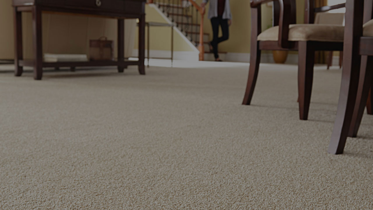 fresh-cleaned-carpet-windsor-ontario-steam