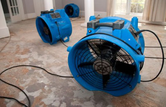 flood-restoration-windsor-ontario-steam